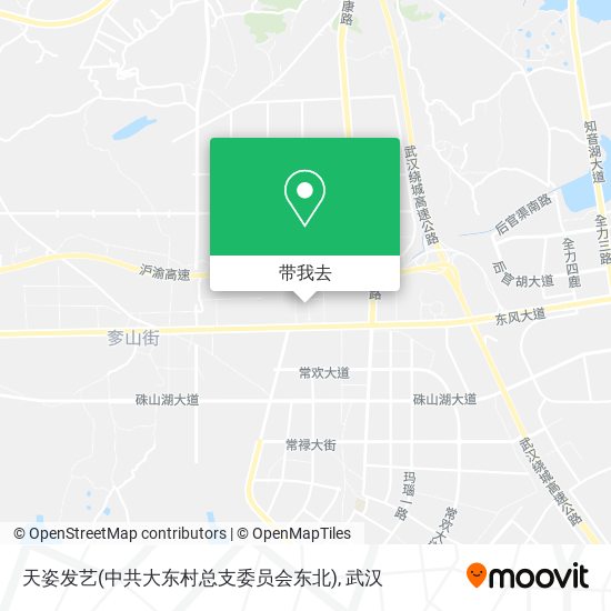 天姿发艺(中共大东村总支委员会东北)地图