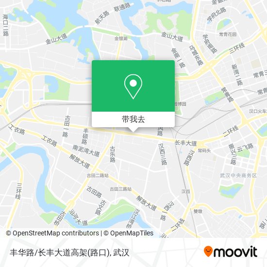 丰华路/长丰大道高架(路口)地图