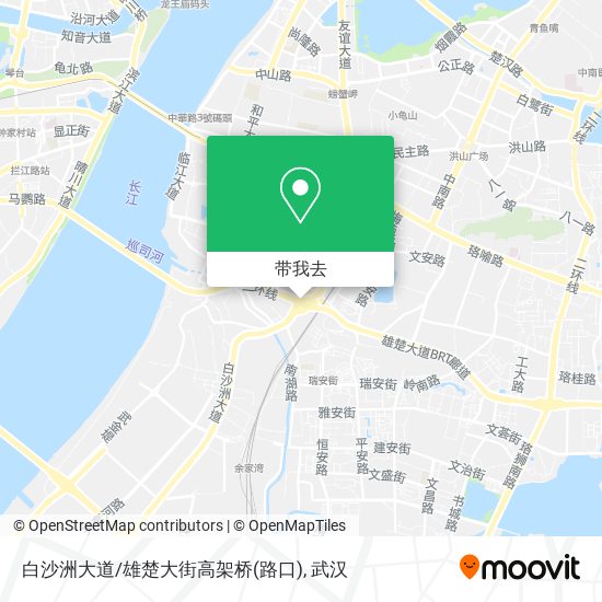 白沙洲大道/雄楚大街高架桥(路口)地图