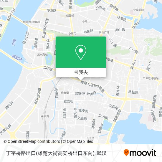 丁字桥路出口(雄楚大街高架桥出口东向)地图