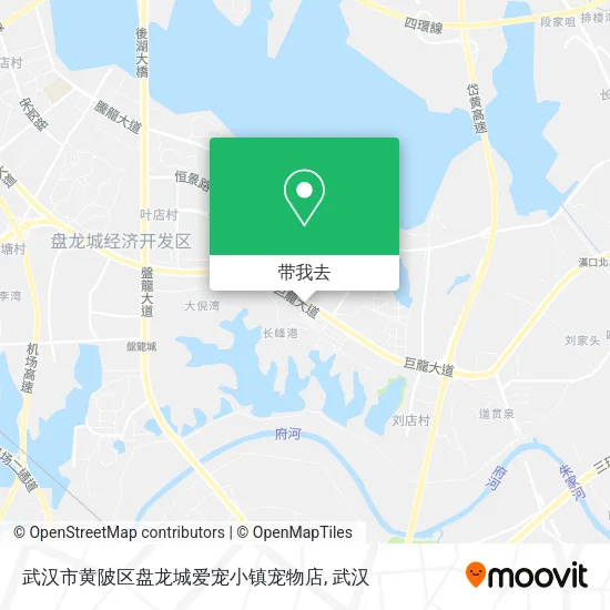 武汉市黄陂区盘龙城爱宠小镇宠物店地图