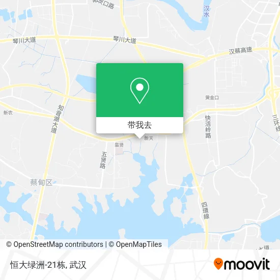 恒大绿洲-21栋地图