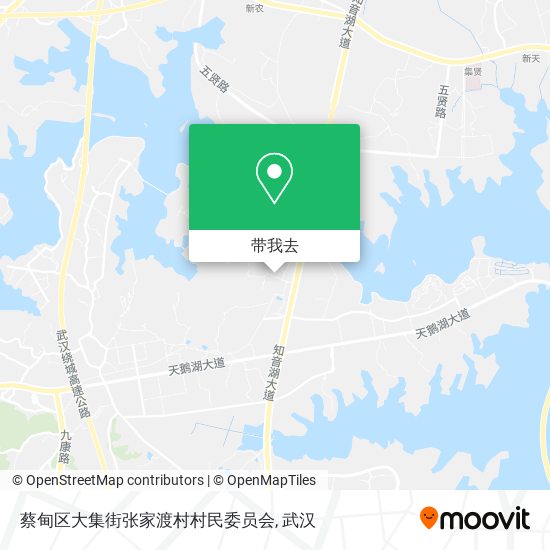 蔡甸区大集街张家渡村村民委员会地图