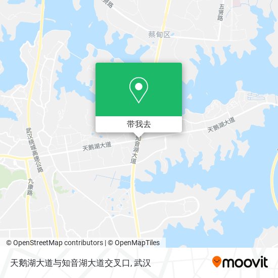 天鹅湖大道与知音湖大道交叉口地图