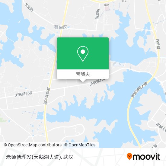 老师傅理发(天鹅湖大道)地图