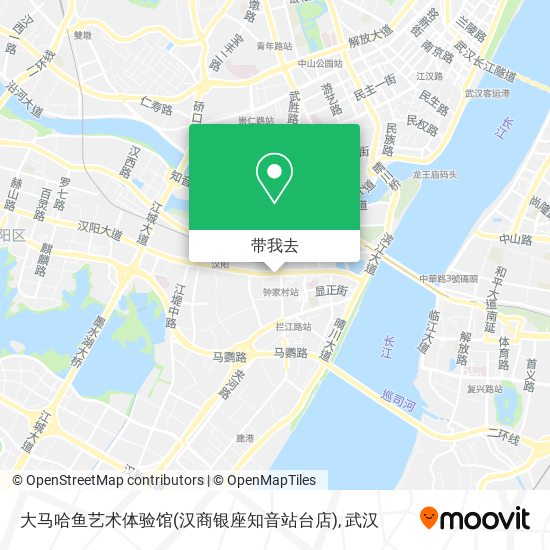 大马哈鱼艺术体验馆(汉商银座知音站台店)地图