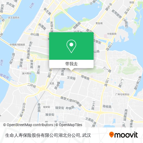 生命人寿保险股份有限公司湖北分公司地图