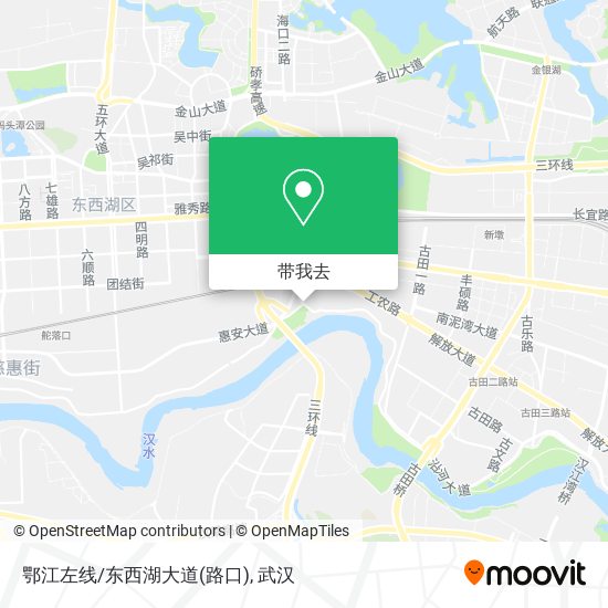 鄂江左线/东西湖大道(路口)地图