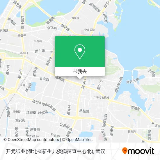 开元纸业(湖北省新生儿疾病筛查中心北)地图