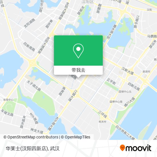 华莱士(汉阳四新店)地图