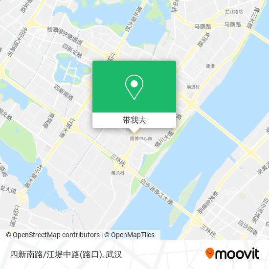 四新南路/江堤中路(路口)地图