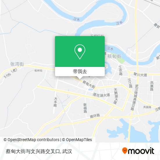 蔡甸大街与文兴路交叉口地图