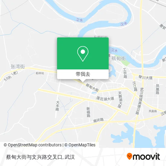 蔡甸大街与文兴路交叉口地图