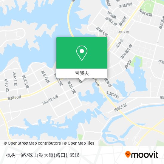枫树一路/硃山湖大道(路口)地图
