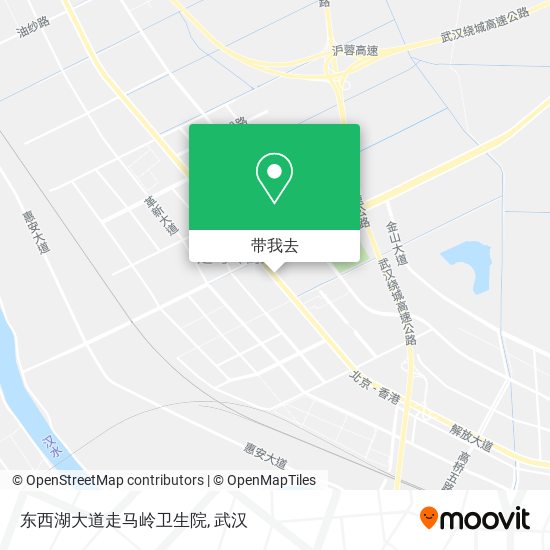 东西湖大道走马岭卫生院地图