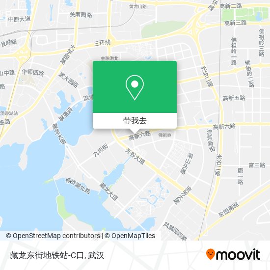 藏龙东街地铁站-C口地图