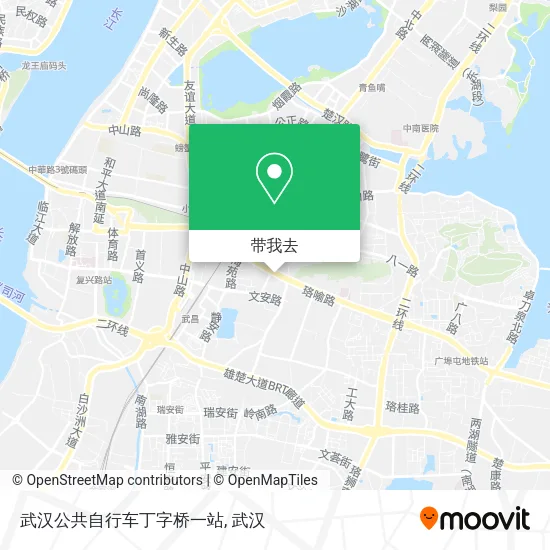 武汉公共自行车丁字桥一站地图