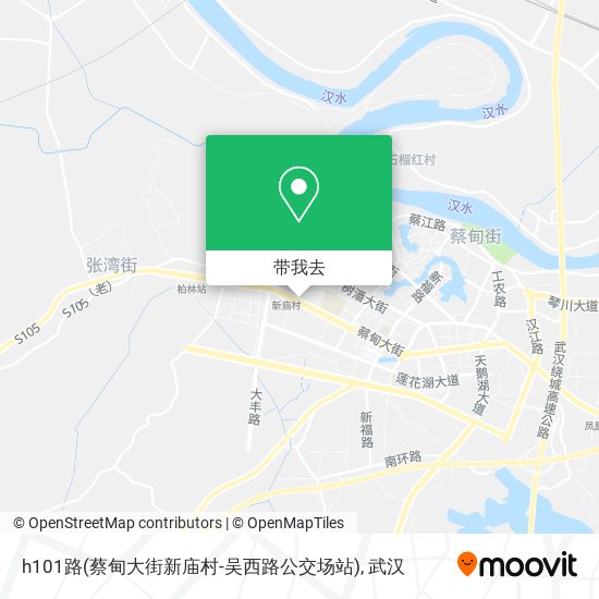 h101路(蔡甸大街新庙村-吴西路公交场站)地图