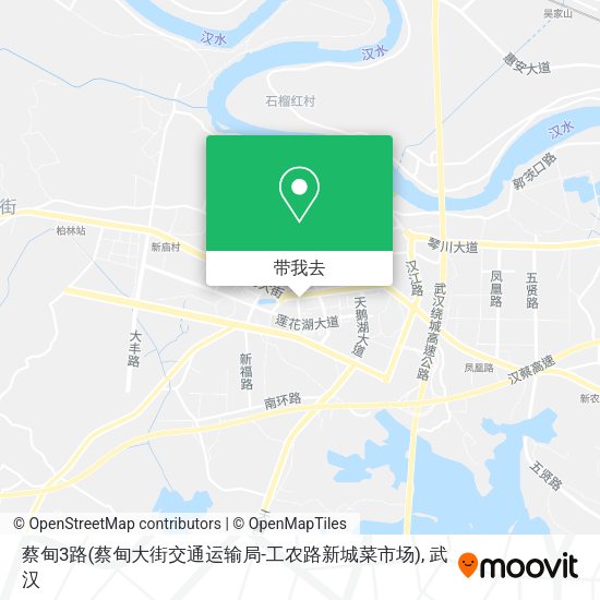 蔡甸3路(蔡甸大街交通运输局-工农路新城菜市场)地图