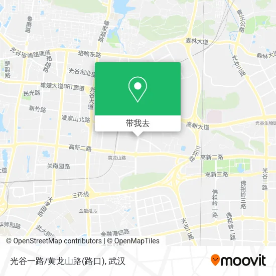 光谷一路/黄龙山路(路口)地图