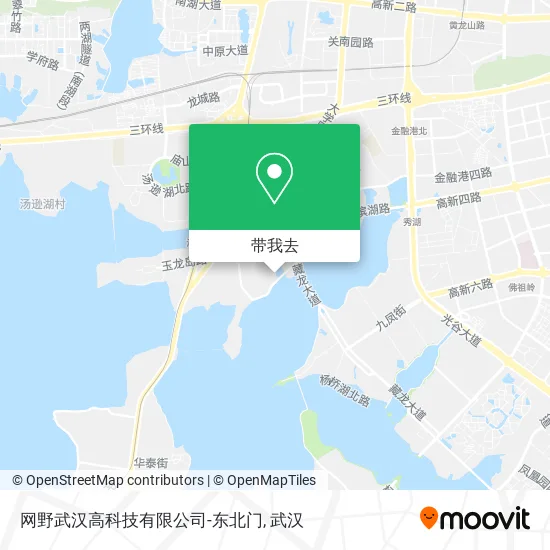 网野武汉高科技有限公司-东北门地图
