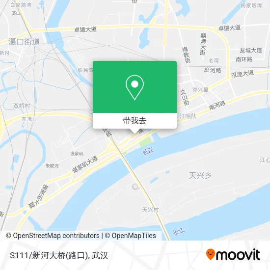 S111/新河大桥(路口)地图