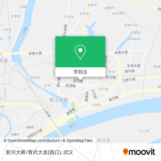 新河大桥/青武大道(路口)地图