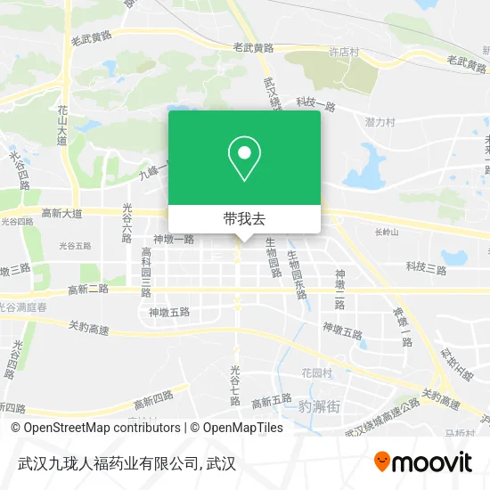 武汉九珑人福药业有限公司地图