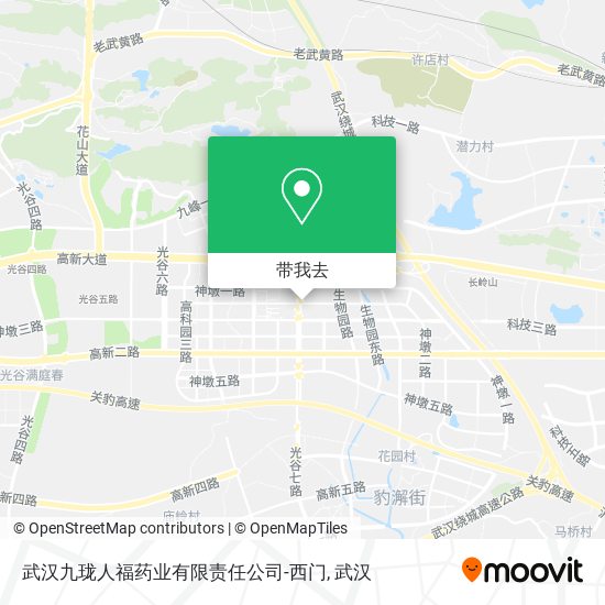 武汉九珑人福药业有限责任公司-西门地图