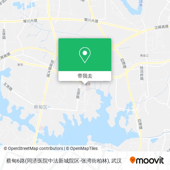 蔡甸6路(同济医院中法新城院区-张湾街柏林)地图