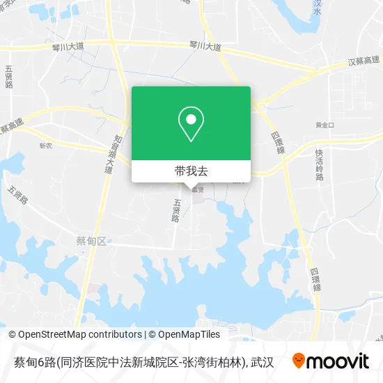 蔡甸6路(同济医院中法新城院区-张湾街柏林)地图
