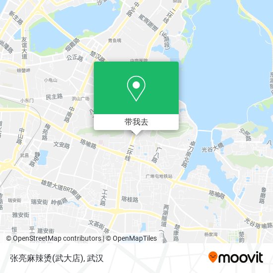 张亮麻辣烫(武大店)地图