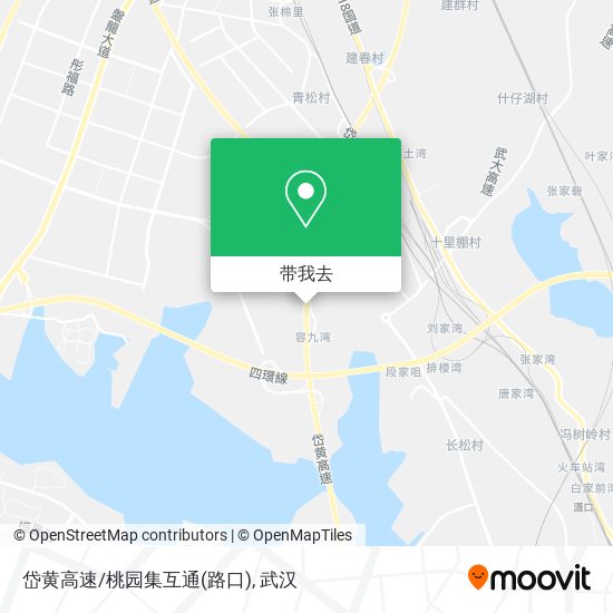 岱黄高速/桃园集互通(路口)地图