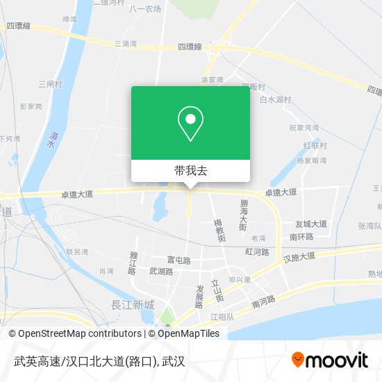 武英高速/汉口北大道(路口)地图