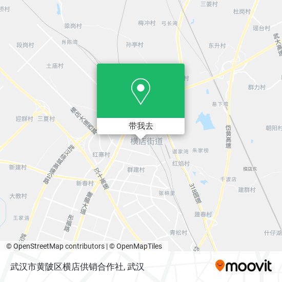 武汉市黄陂区横店供销合作社地图