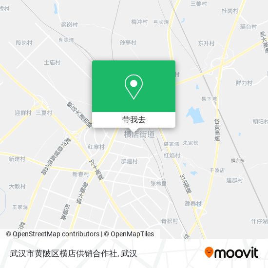 武汉市黄陂区横店供销合作社地图