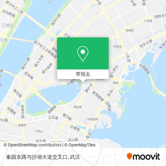 秦园东路与沙湖大道交叉口地图