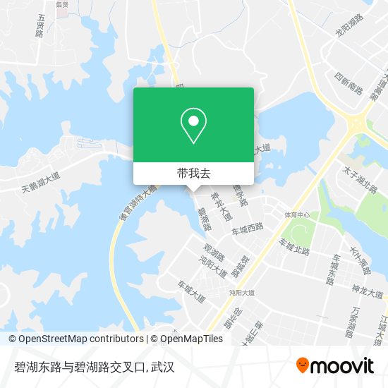 碧湖东路与碧湖路交叉口地图