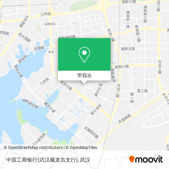 中国工商银行(武汉藏龙岛支行)地图