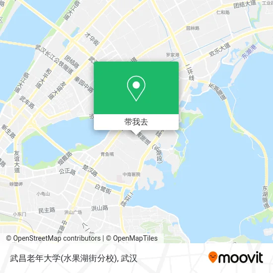 武昌老年大学(水果湖街分校)地图