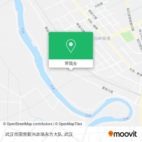 武汉市国营新沟农场东方大队地图