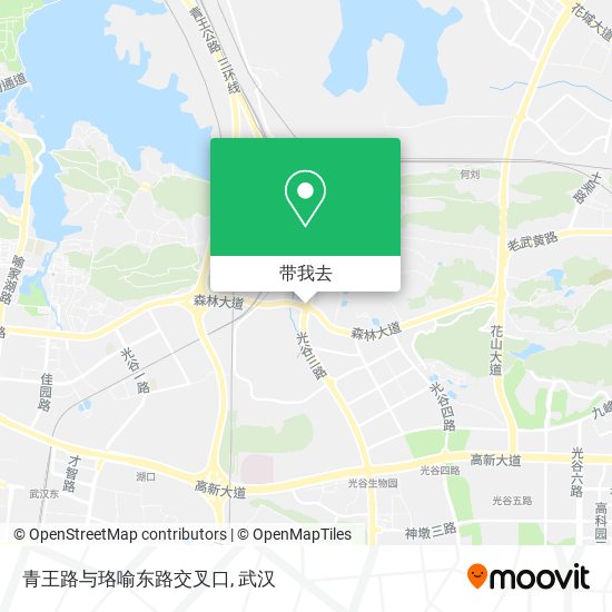 青王路与珞喻东路交叉口地图