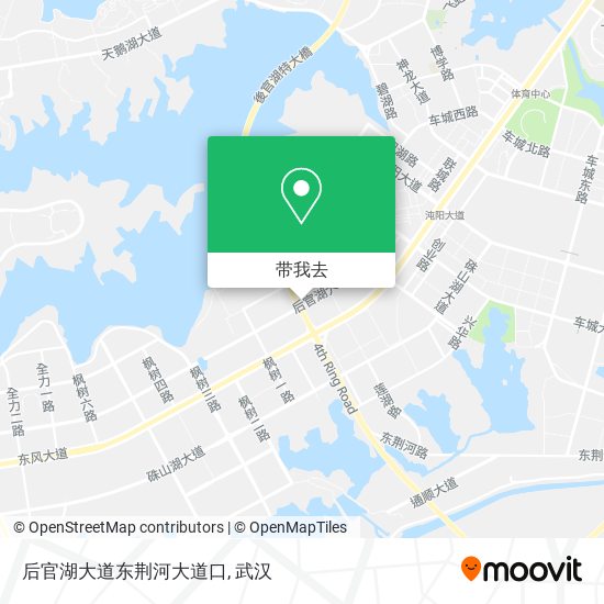 后官湖大道东荆河大道口地图