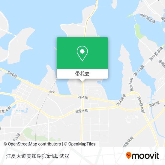 江夏大道美加湖滨新城地图