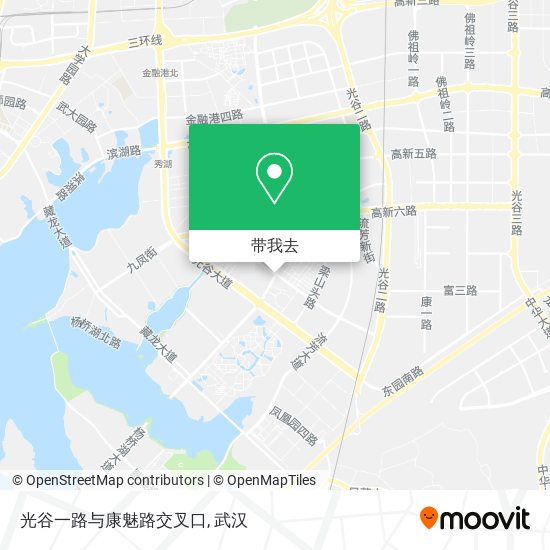 光谷一路与康魅路交叉口地图