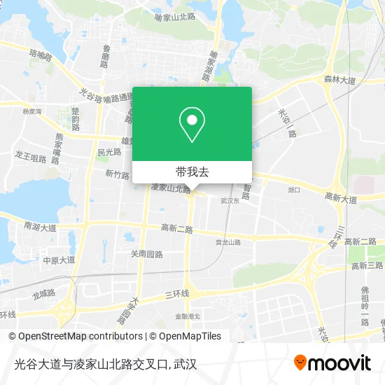 光谷大道与凌家山北路交叉口地图