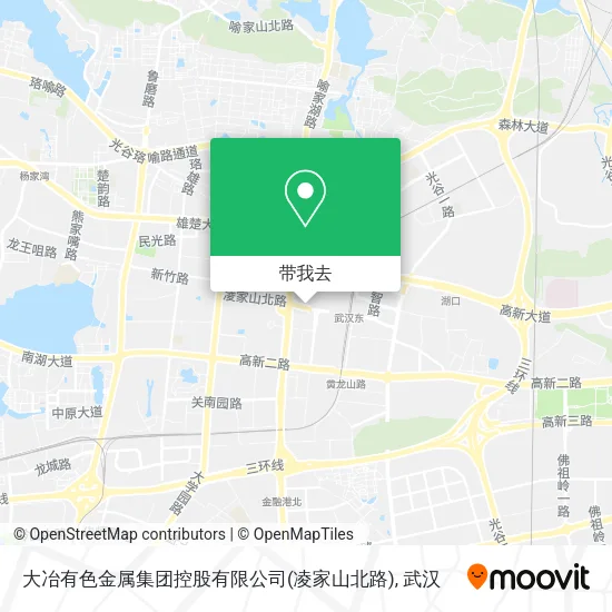 大冶有色金属集团控股有限公司(凌家山北路)地图