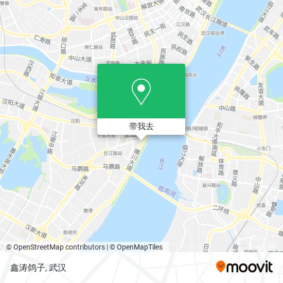 鑫涛鸽子地图