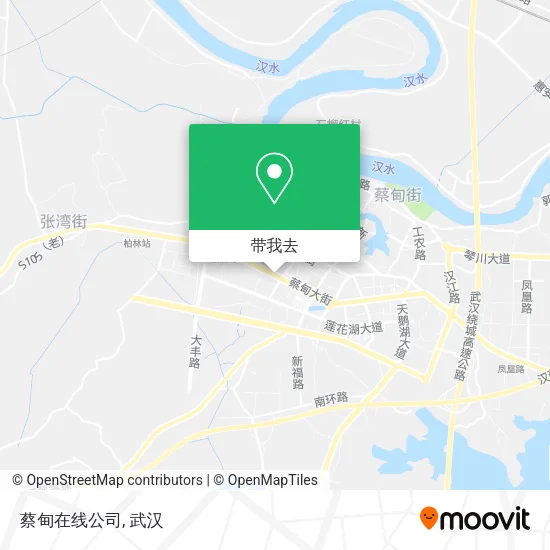 蔡甸在线公司地图