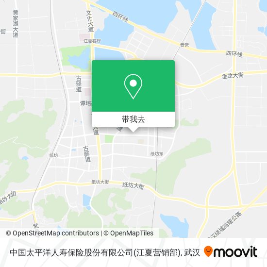 中国太平洋人寿保险股份有限公司(江夏营销部)地图